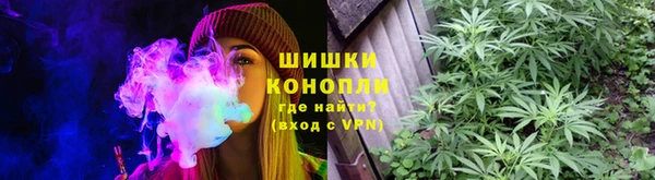 jwh Пересвет