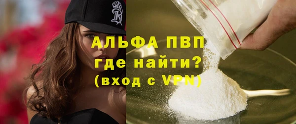 амф Пестово
