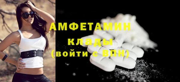 амф Пестово