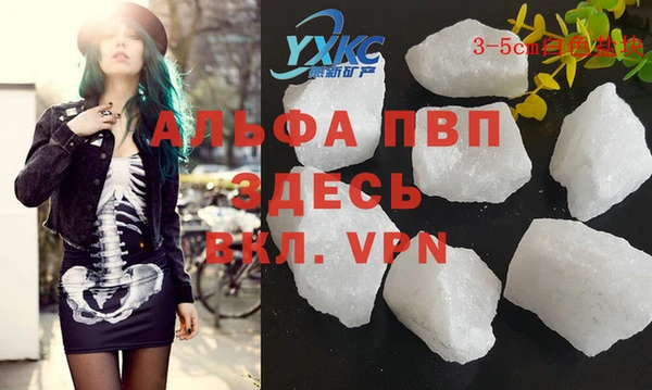 стаф Абаза