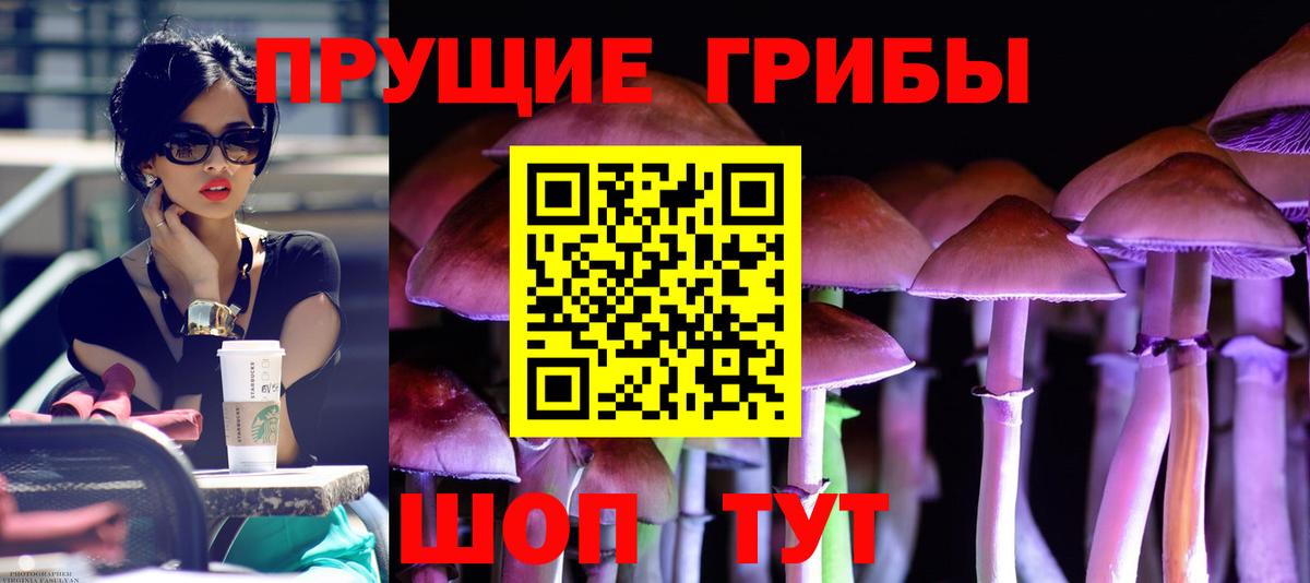 Псилоцибиновые грибы мухоморы Холмск