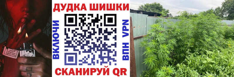 Шишки марихуана SATIVA & INDICA  kraken как войти  Холмск 